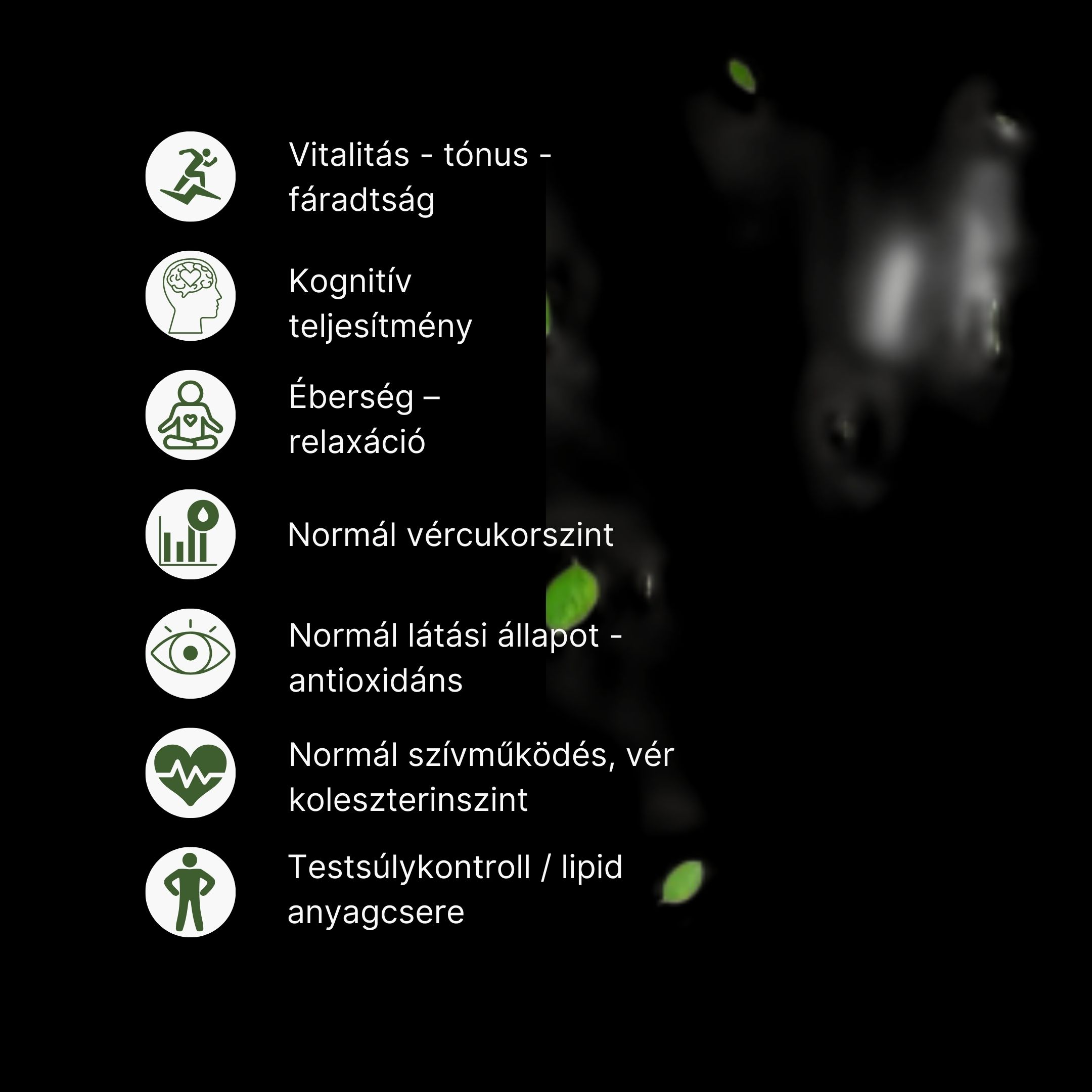 (Maďarština) Magnesium ve spreji (2)